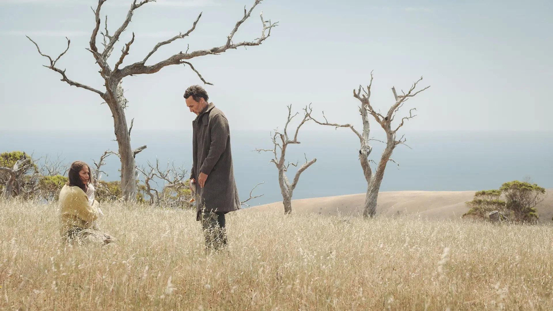The Run (2025) 540P 1