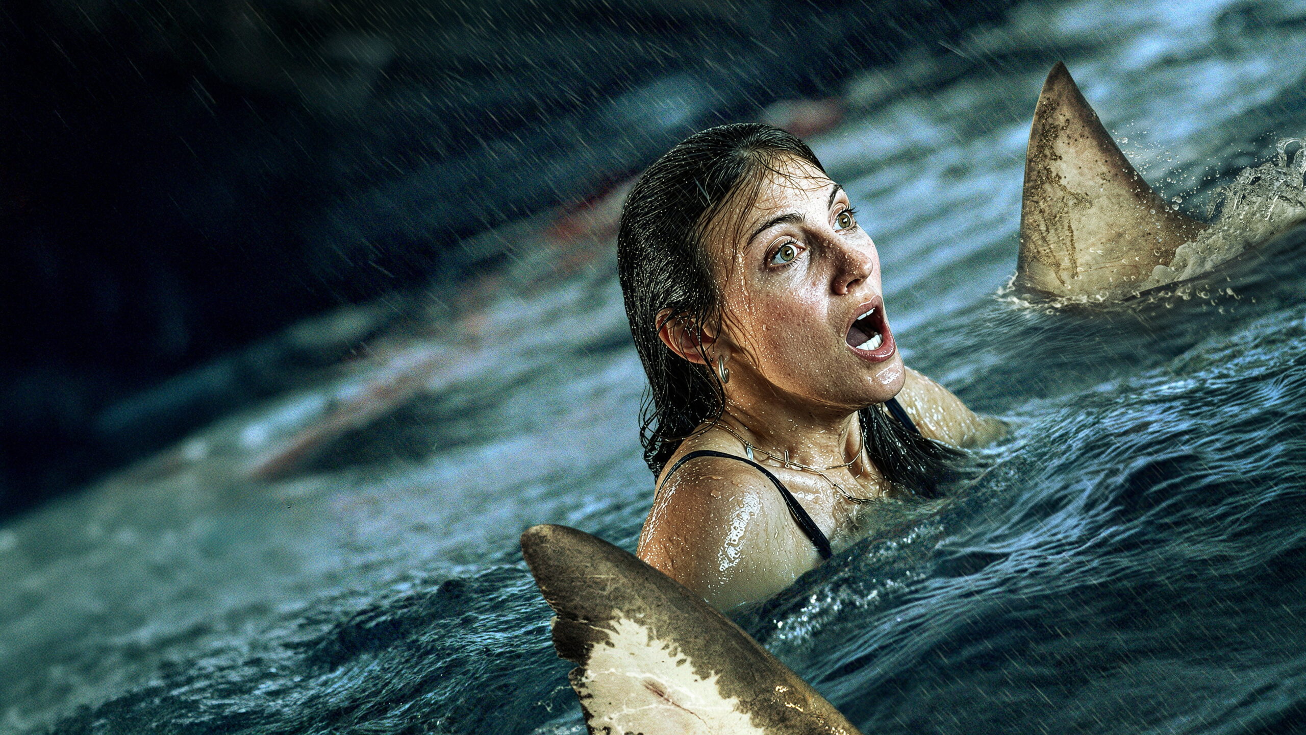 Shark Thrash (2026) 540P 1