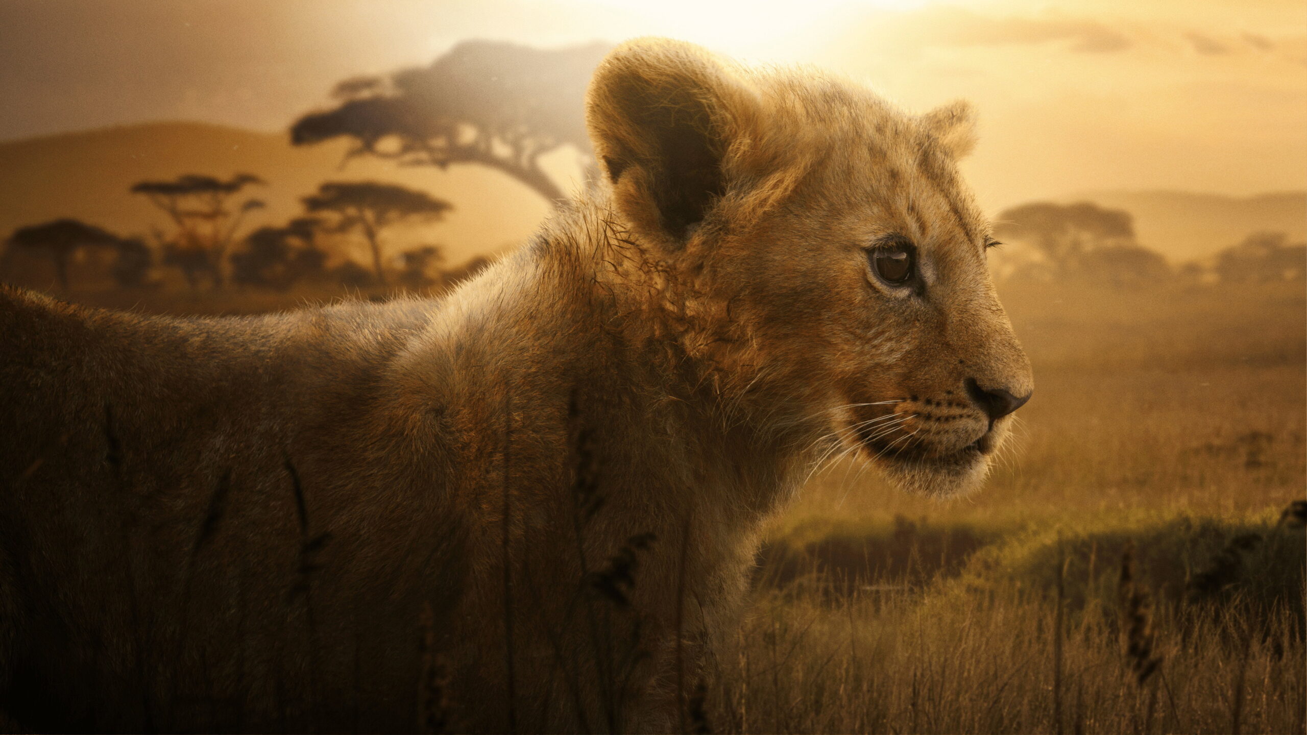 Download Lion (2026) Season 1 Complete Mkv 1